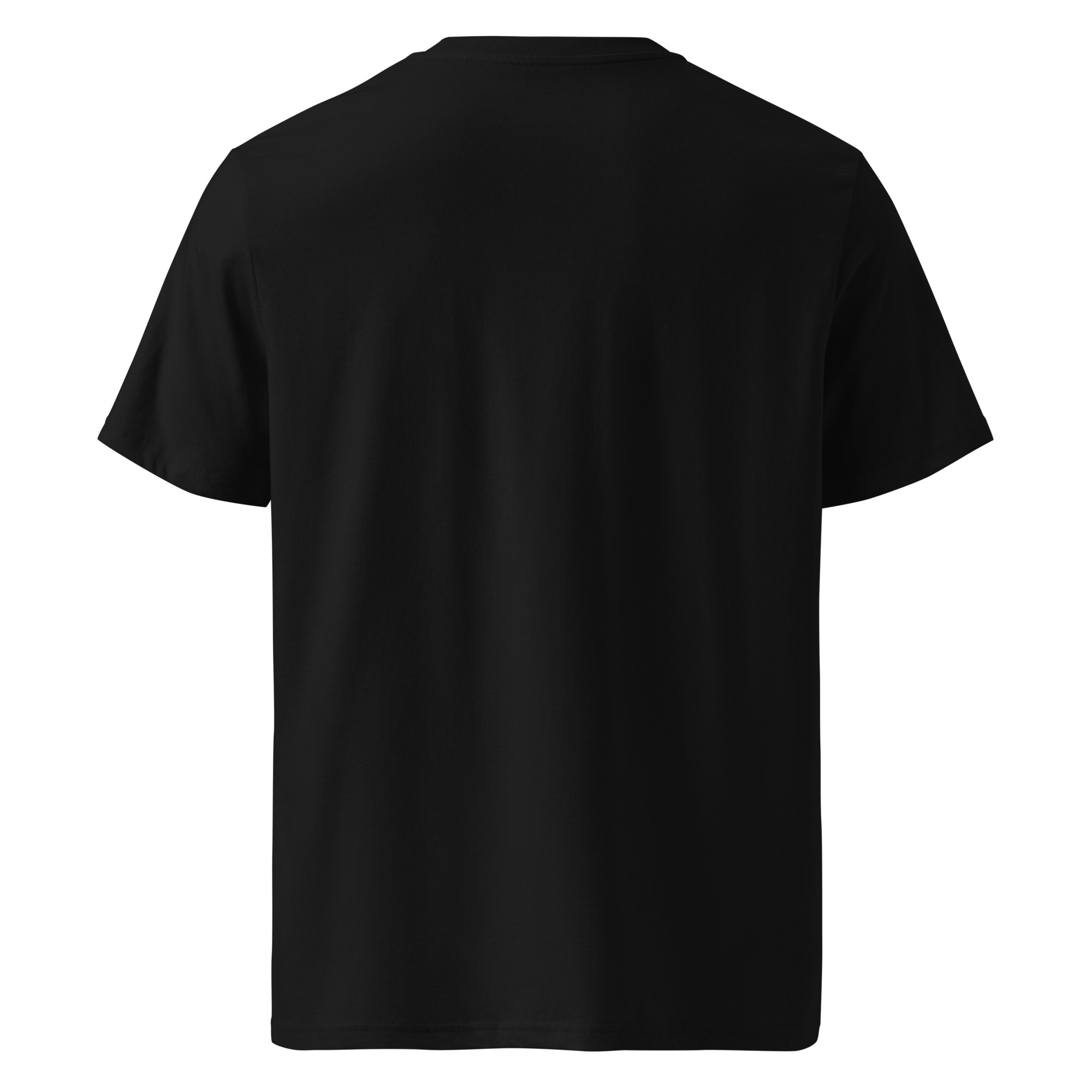 unisex-organic-cotton-t-shirt-black-back-673b104745081.jpg