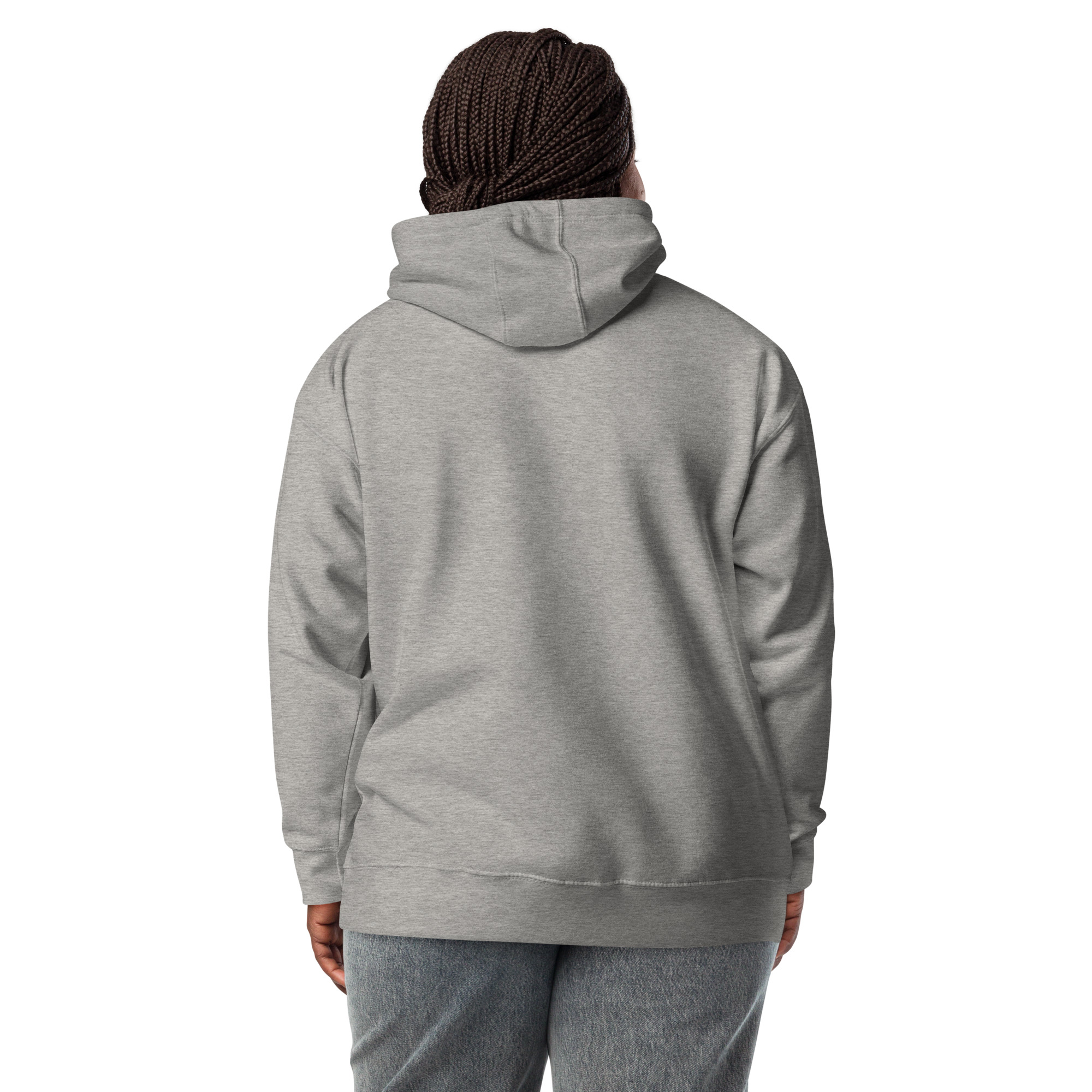 unisex-premium-hoodie-carbon-grey-back-672bc0a689de0.jpg