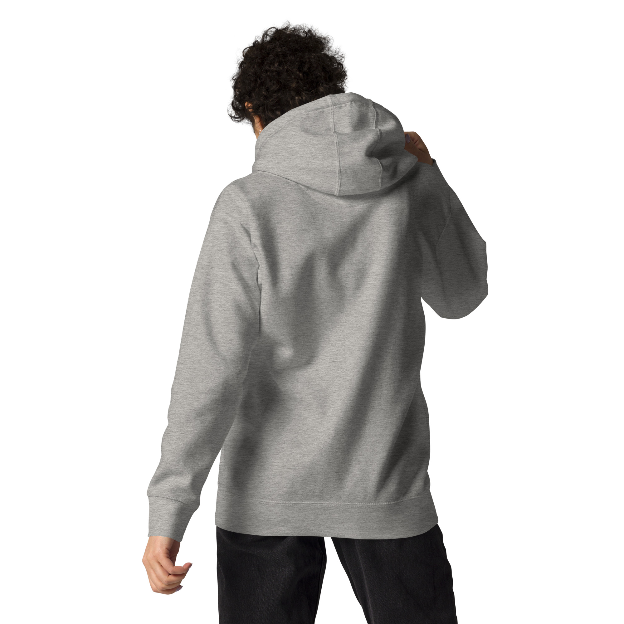 unisex-premium-hoodie-carbon-grey-back-672bc2560d37c.jpg