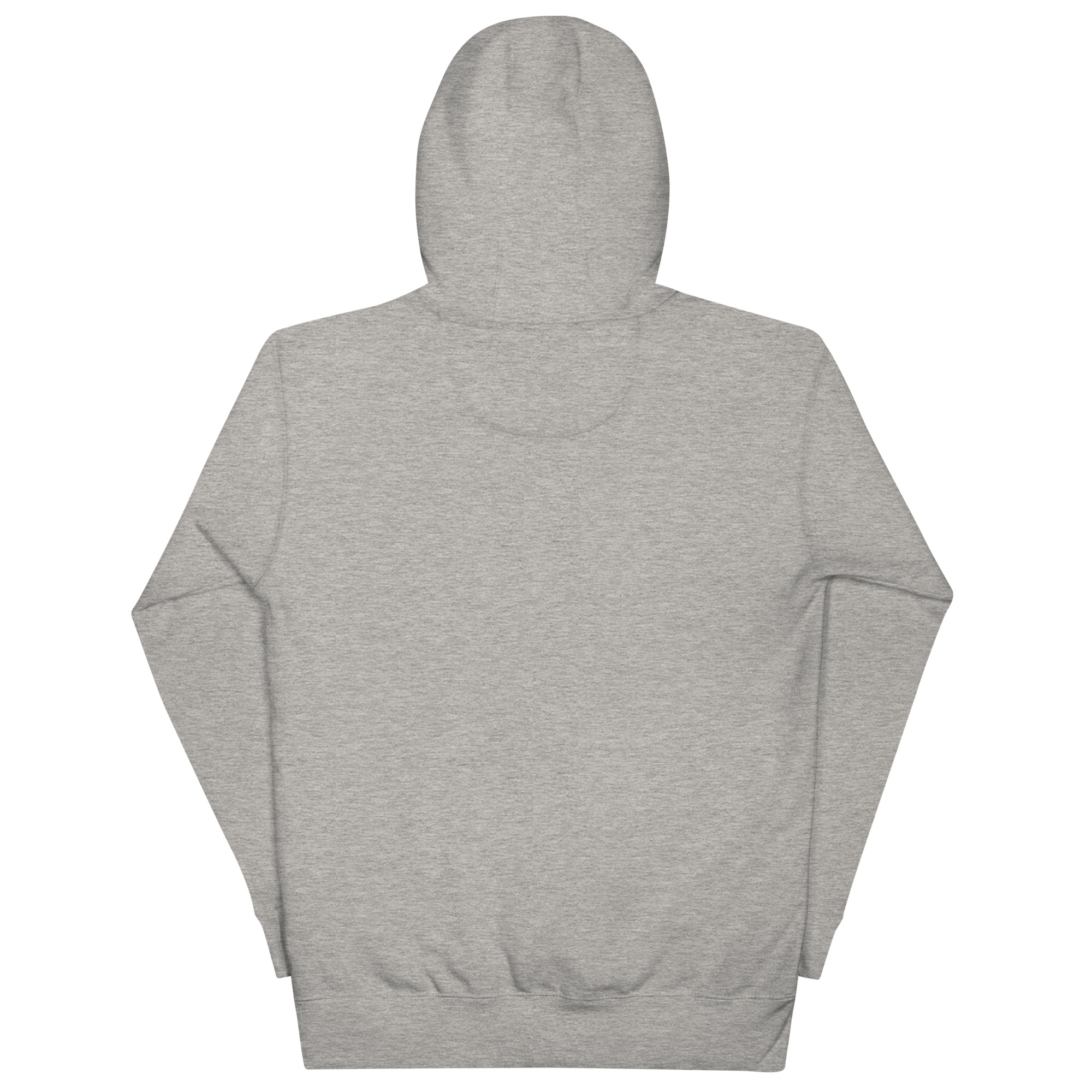 unisex-premium-hoodie-carbon-grey-back-673b8117e2544.jpg