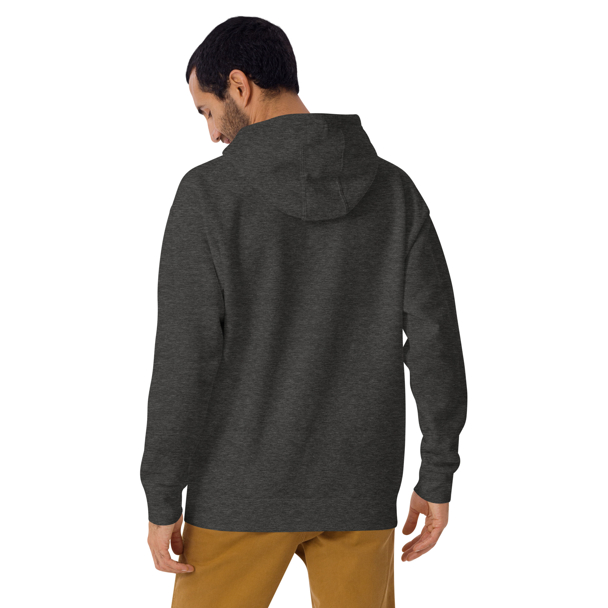 unisex-premium-hoodie-charcoal-heather-back-672bbebdbfde8.jpg
