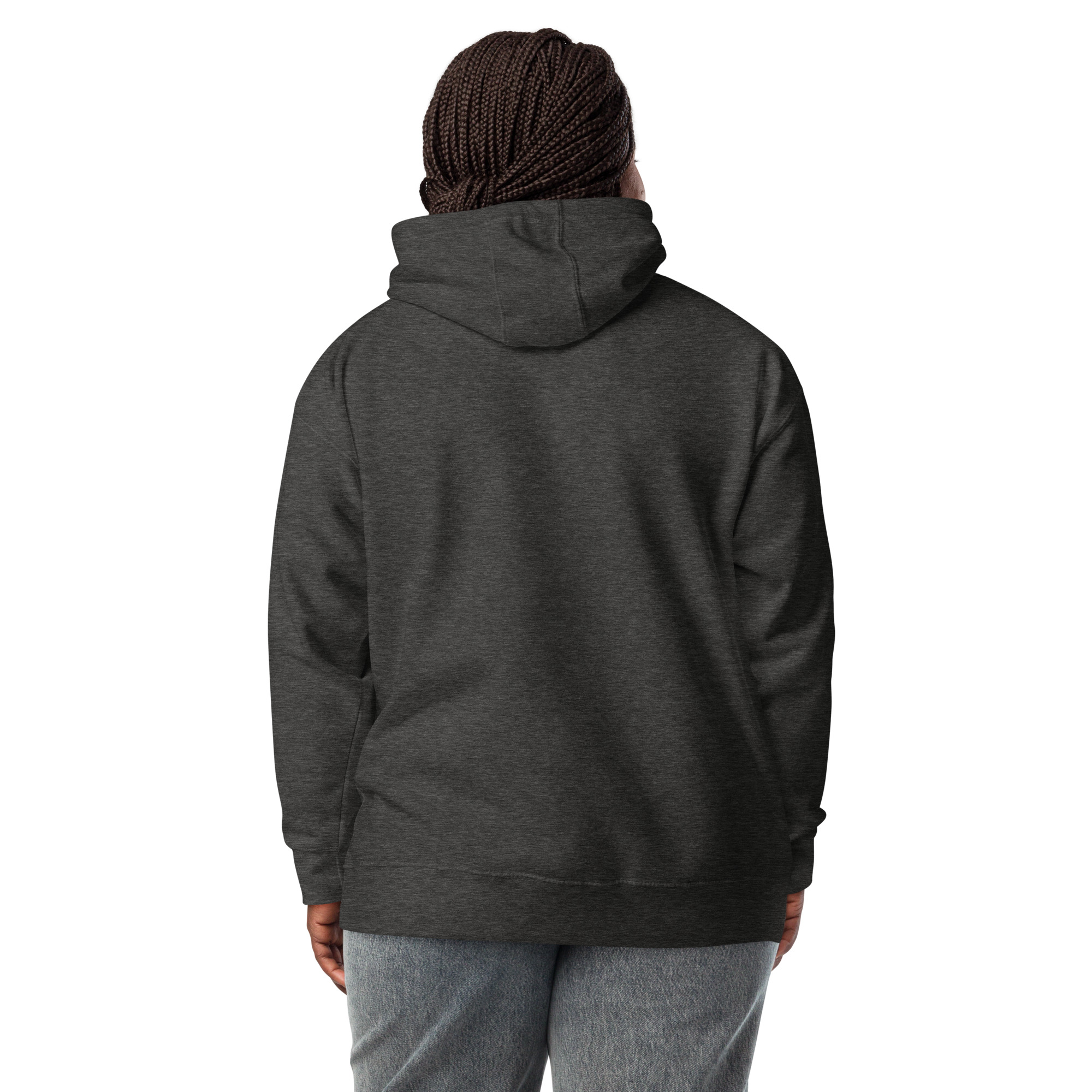 unisex-premium-hoodie-charcoal-heather-back-672bc0a64527a.jpg