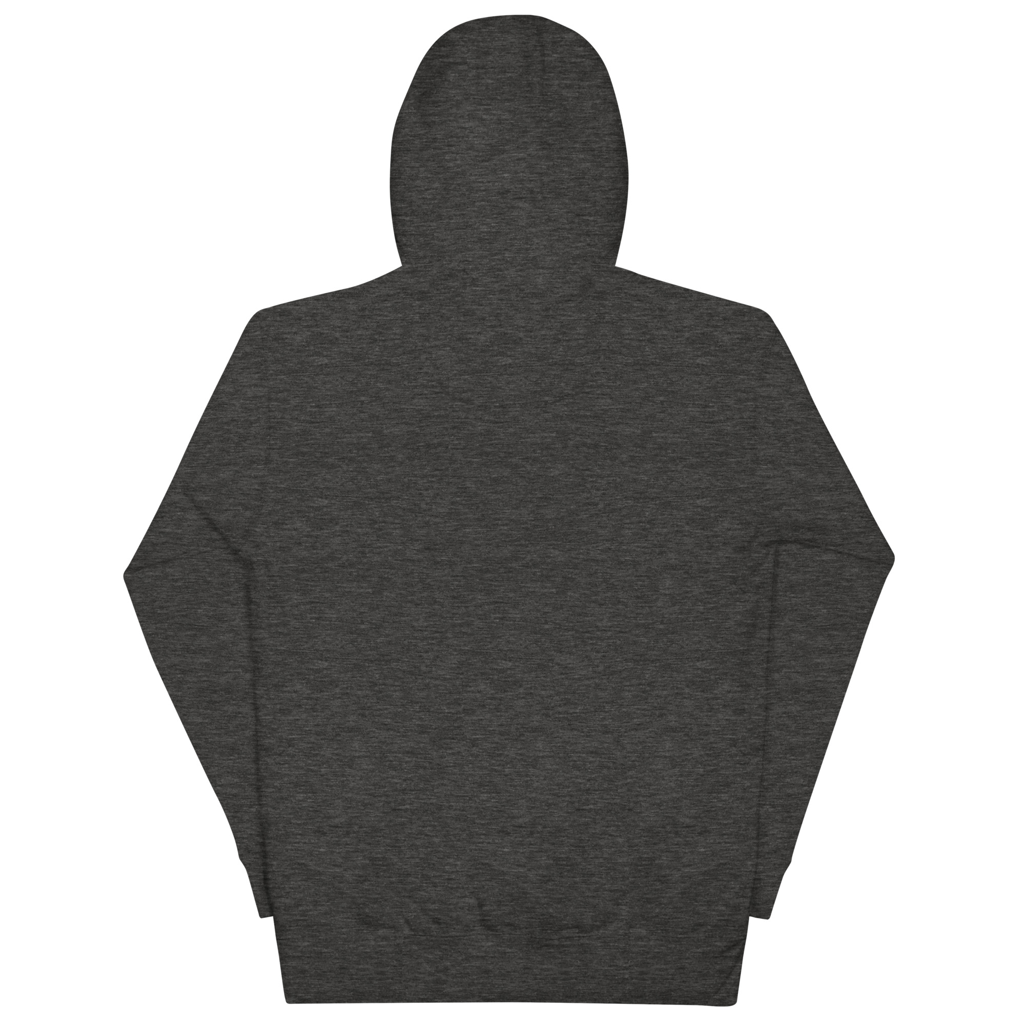 unisex-premium-hoodie-charcoal-heather-back-673b8117d004e.jpg
