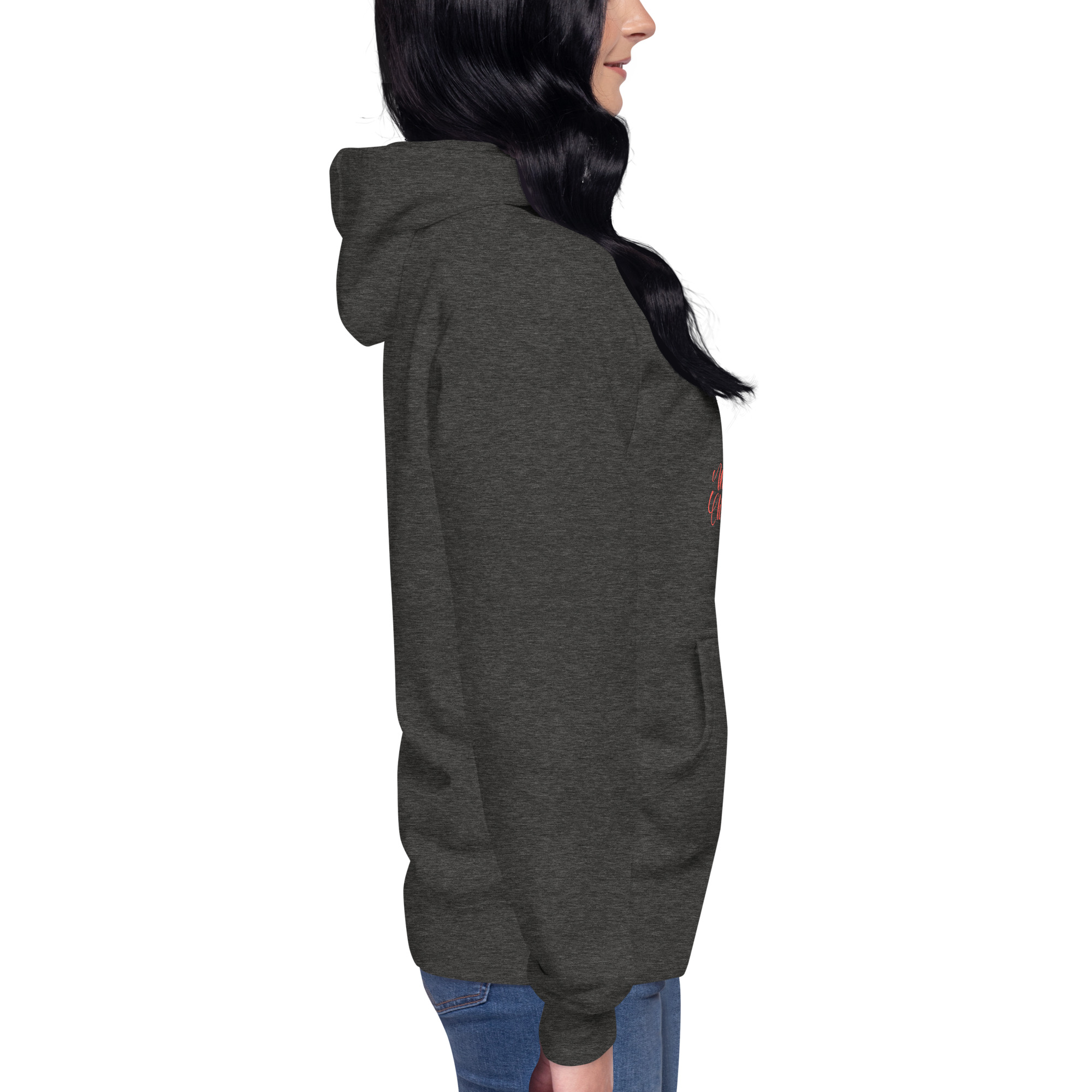 unisex-premium-hoodie-charcoal-heather-right-673b0af85b956.jpg