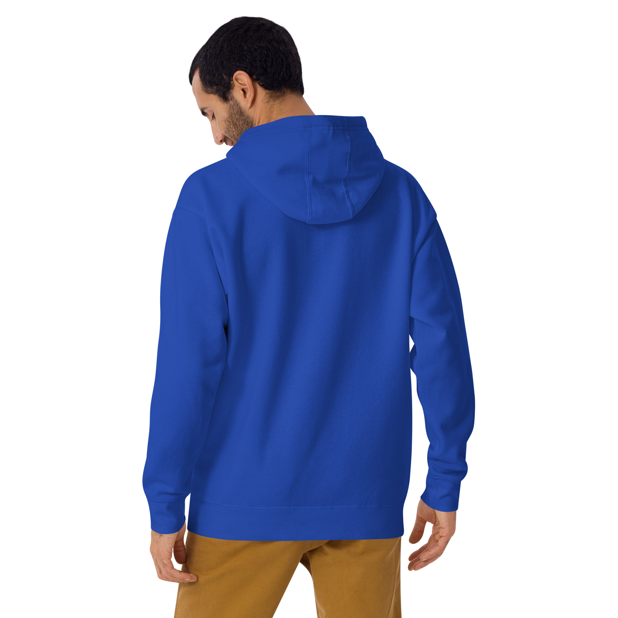 unisex-premium-hoodie-team-royal-back-672bbebdd13b9.jpg