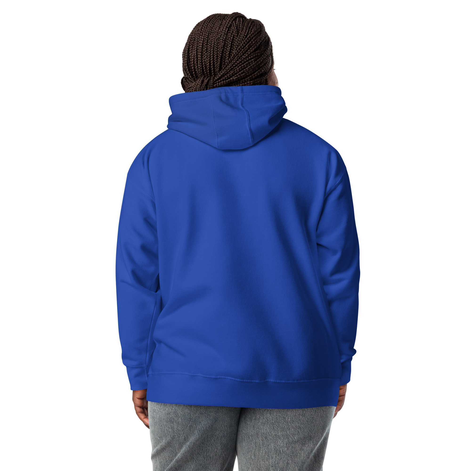 unisex-premium-hoodie-team-royal-back-672bc0a662200.jpg